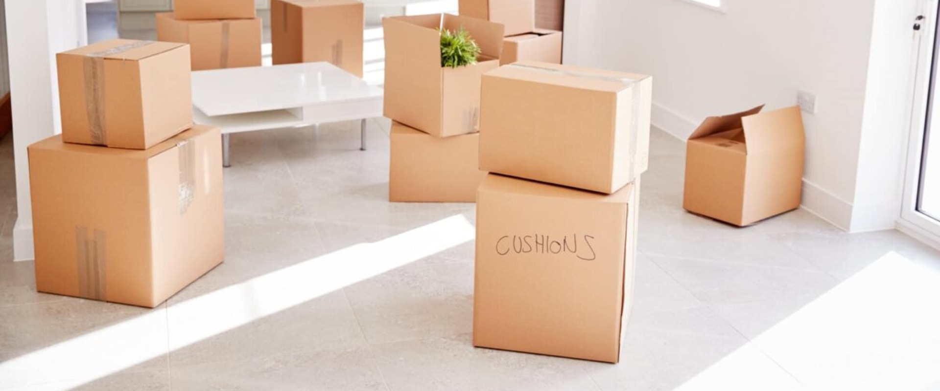 Expert Tips for Choosing the Best Washington Moving Services