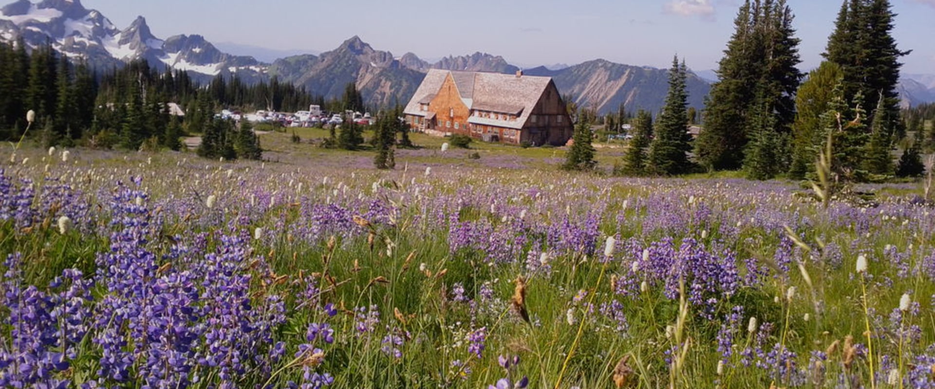 Exploring Housing and Employment Opportunities in Washington State