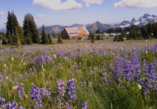 Exploring Housing and Employment Opportunities in Washington State